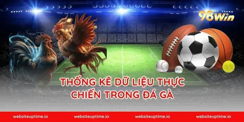 Thống kê dữ liệu thực chiến trong đá gà