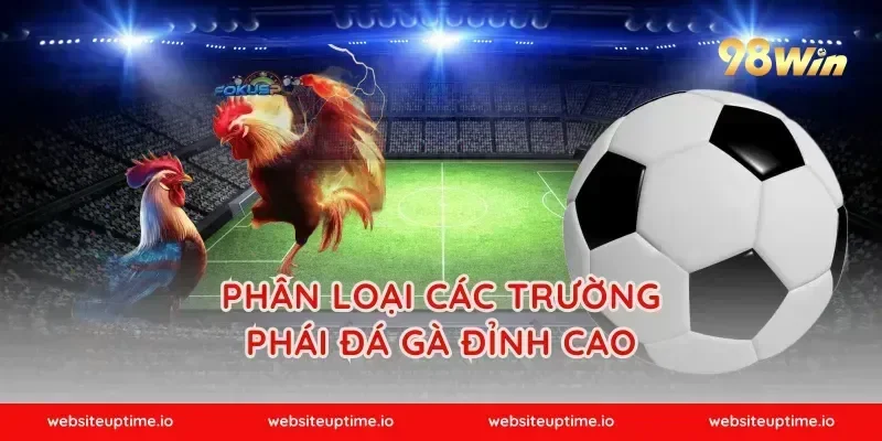 Phân loại các trường phái đá gà đỉnh cao