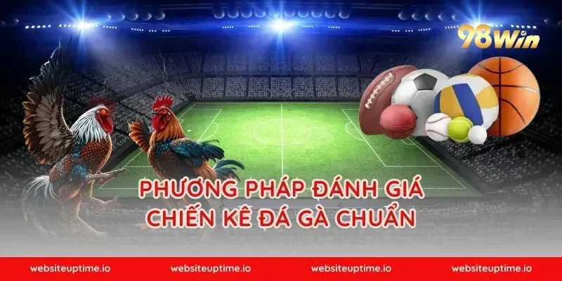 Phương pháp đánh giá chiến kê đá gà chuẩn