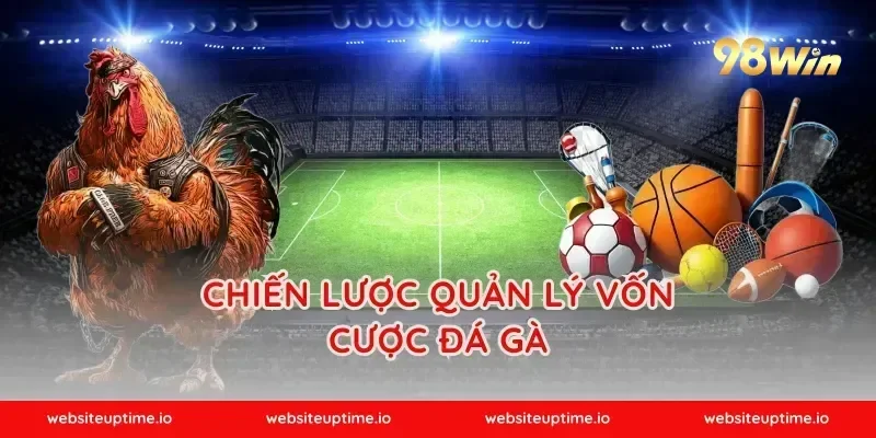 Chiến lược quản lý vốn cược đá gà