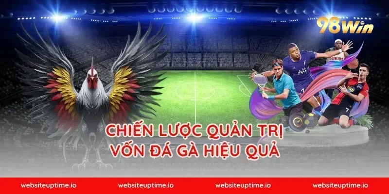 Chiến lược quản trị vốn đá gà hiệu quả