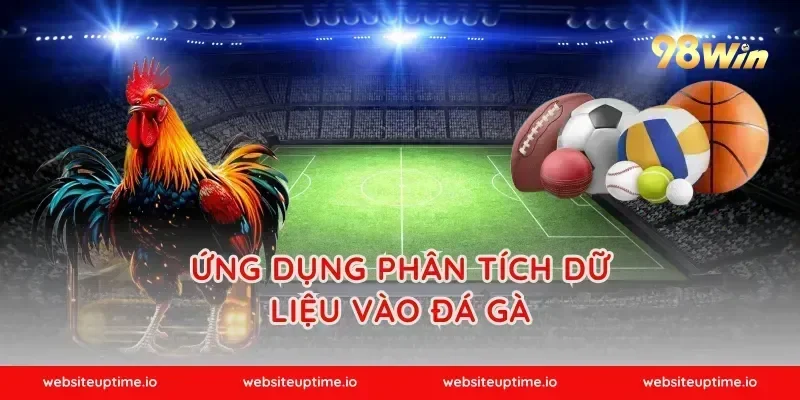 Ứng dụng phân tích dữ liệu vào đá gà